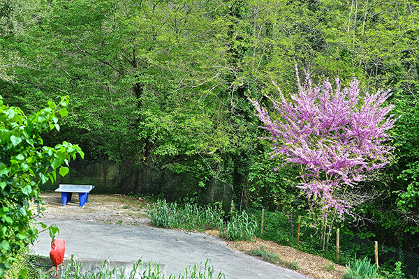 Camping Val Fleuri - Ping-pong - Cagnes sur Mer