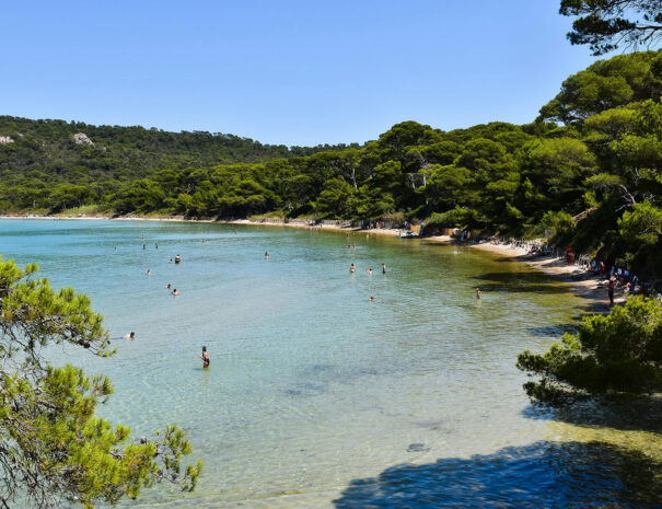 pexels-axp-photography-500641970-29942627