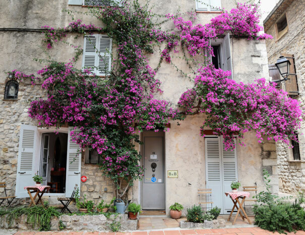 satvik-Ap8nEBy9Y6o-unsplash